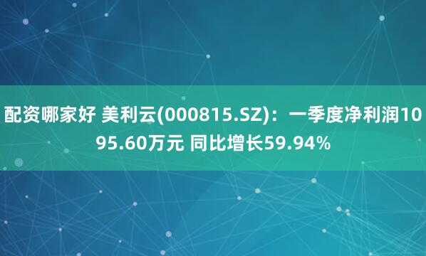 配资哪家好 美利云(000815.SZ)：一季度净利润1095.60万元 同比增长59.94%