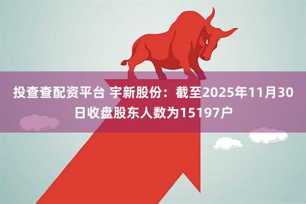 投查查配资平台 宇新股份：截至2025年11月30日收盘股东人数为15197户
