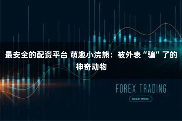 最安全的配资平台 萌趣小浣熊：被外表“骗”了的神奇动物