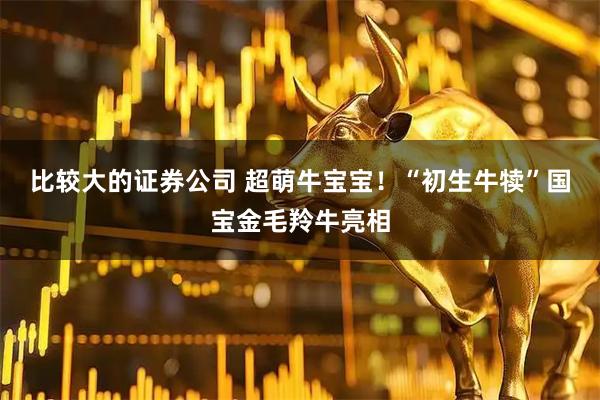 比较大的证券公司 超萌牛宝宝!“初生牛犊”国宝金毛羚牛亮相